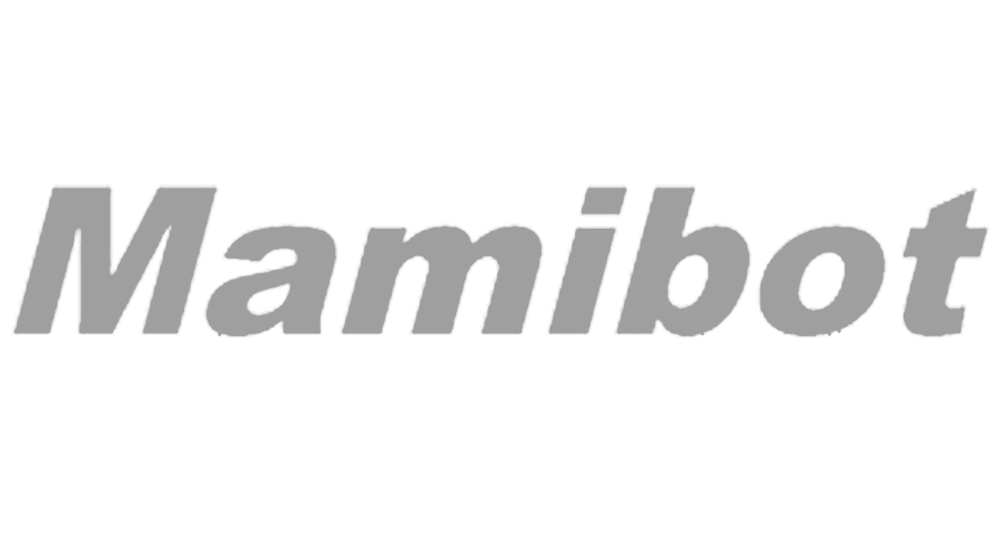 MAMIBOT Fensterputzroboter: Überblick